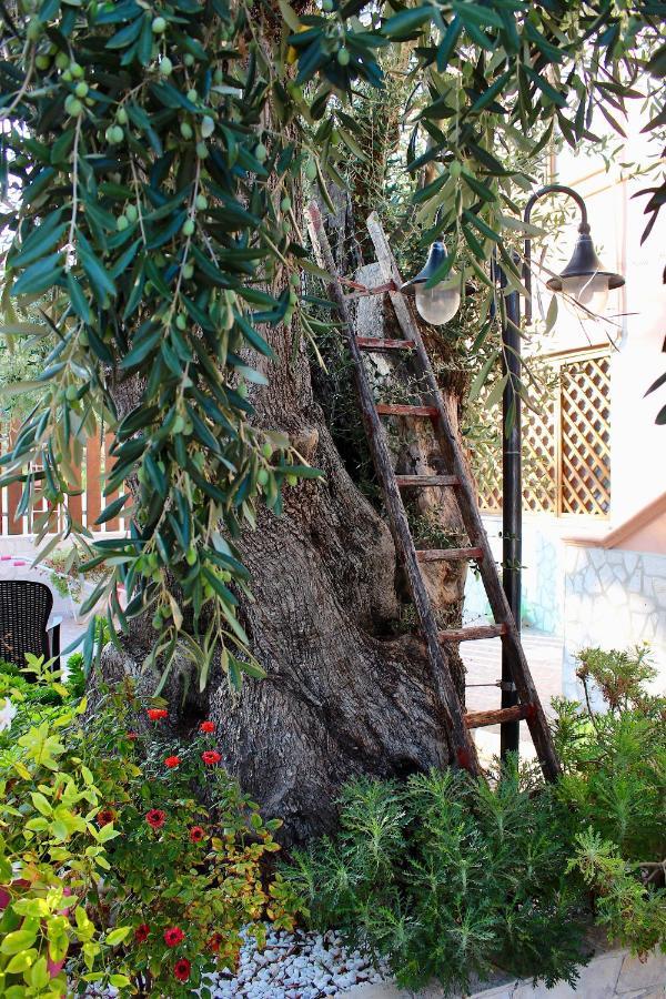 Villa Marchionna Vieste Kültér fotó